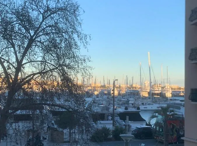 Joli Sur Le Port